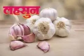   लहसुन की महत्व को जानकर आप भी हो जाएंगे हैरान  ! 