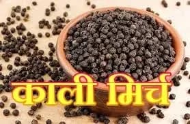  काली मिर्च का सेवन करना आपके लिए लाभदायक और नुकसान,सेचिए ! 