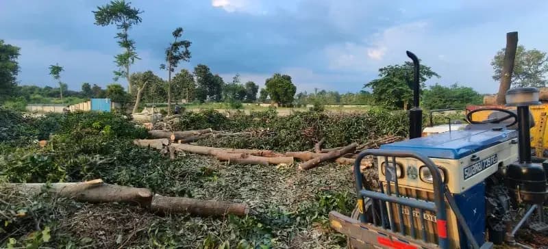 लखनऊ में फल पटटी की बफर जोन में फलदार बागों पर चल रहा अंधाधुंध आरा