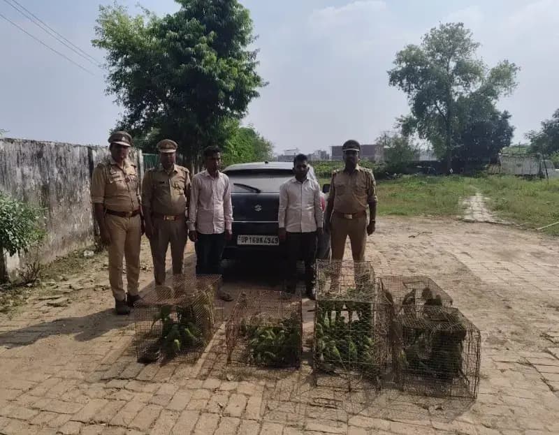 बीकेटी के इंदौर बाग मोड पर एक बलेनो कार में 650 तोता बरामद  ,पुलिस जांच में जुटी
