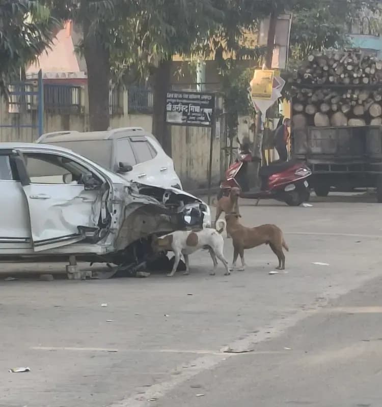   कार और लकड़ी लदे पिकअप डाला के बीच भीषण टक्कर,चार घायल,दो गंभीर, लखनऊ के तालकटोरा क्षेत्र की घटना