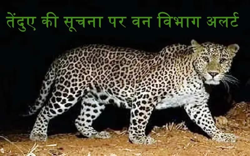  लखनऊ के रहमान खेड़ा क्षेत्र में तेंदुआ  दिखने से दहशत,वन विभाग की टीमे जांच में जुटी
