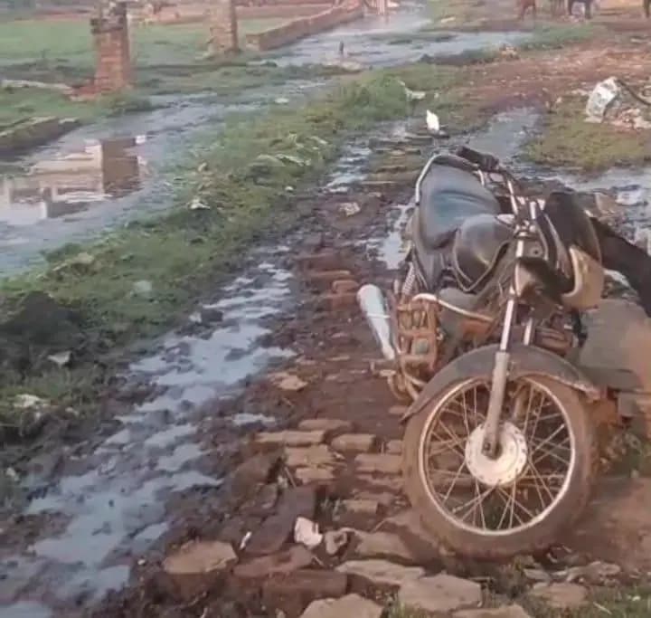  लखनऊ के काकोरी क्षेत्र में गोबर के कारण गंदगी और बीमारियों का खतरा  बढा 