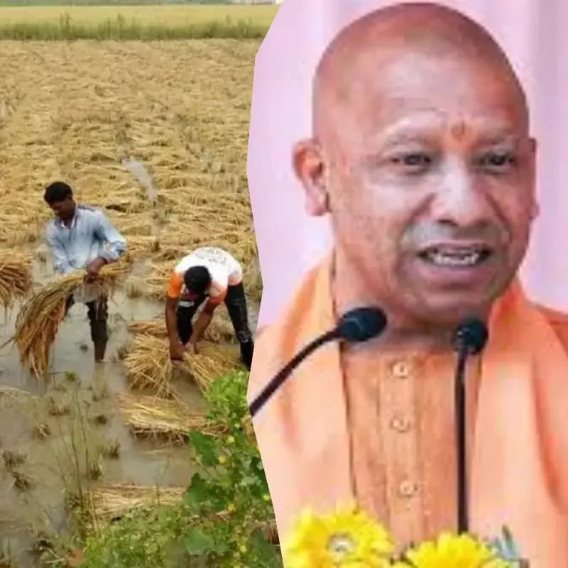सीएम योगी आदित्यनाथ ने असमय बारिश से फसल नुकसान पर मांगी रिपोर्ट