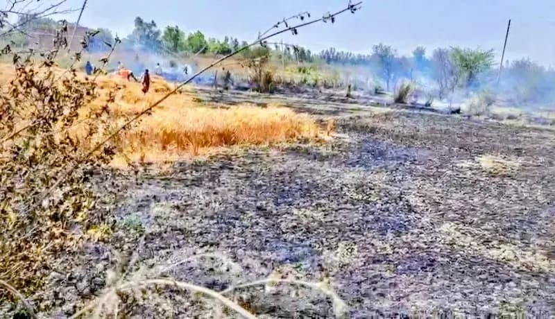 लखनऊ के मोहनलालगंज इलाके में 4 बीघा गेहूं की फसल जलकर राख,मुआवजे की मांग