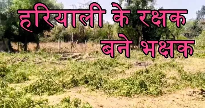 
रात के अंधेरे में औषधीय नीम,बेल और आम की हरियाली का सौदा,जिम्मेदार वन  विभाग AC में 