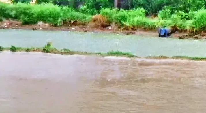 यूपी में आंधी-बारिश से मिली तपिश से राहत, 6 मई तक 'येलो अलर्ट' जारी