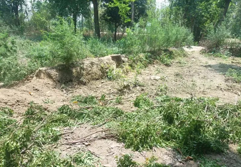  काकोरी के जमालपुर में वन विभाग और पुलिस की सुस्ती पर उठे गंभीर सवाल