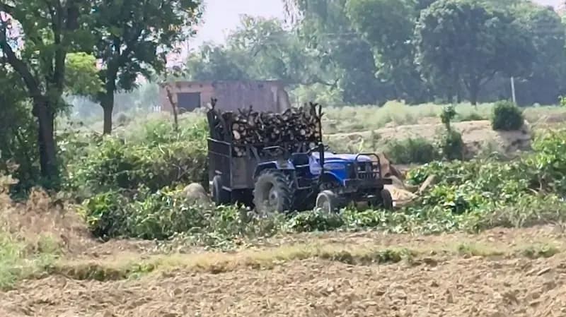   बख्शी का तालाब के सिंघामऊ में प्रतिबंधित पेड़ों के कटान का आरोप, ग्रामीणों में रोष