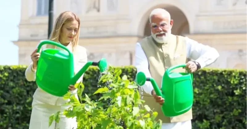 वैश्विक मंच पर पर्यावरण का संदेश, पर नवाबों के शहर में 'हरे सोने' पर चल रहा आरा