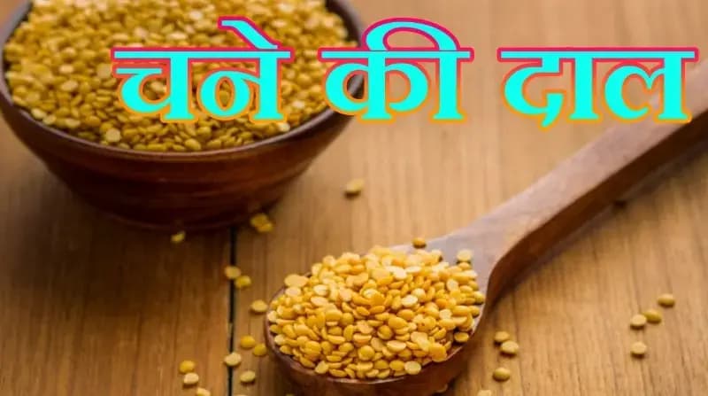 चने की दाल से क्या — क्या बना सकते है पकवान,सेहत को न करे नज़र अंदाज़