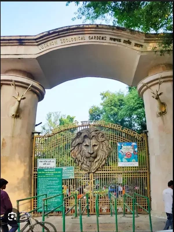 दिपावली में तेज आवाज वाले पटाखे बने खतरा, निदेशक बोलीं— बचाएं वन्यजीवों की जान