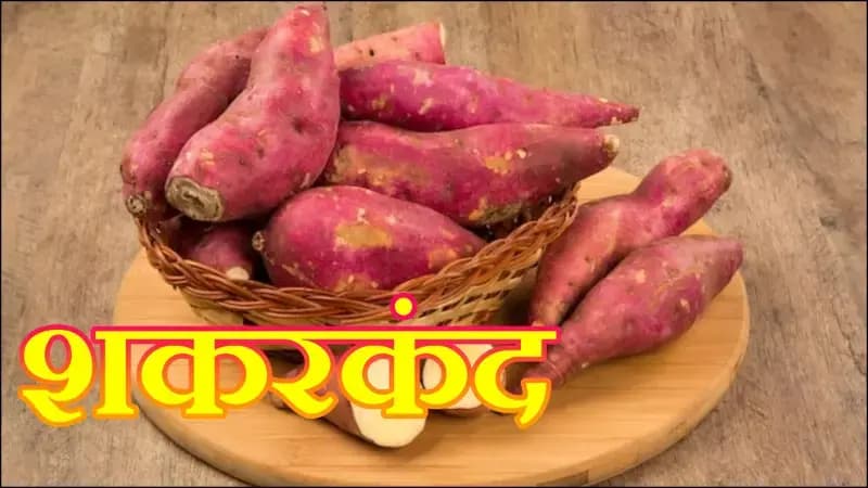 शकरकंद को खाने के क्या आप भी है शौक़ीन,तो कुछ बातो रखिए ध्यान !