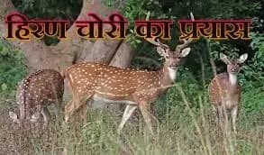 लखनऊ के चिड़ियाघर में हिरण चोरी का प्रयास,एक आरोपी राजेश अरेस्ट, चार अज्ञात आरोपी फरार