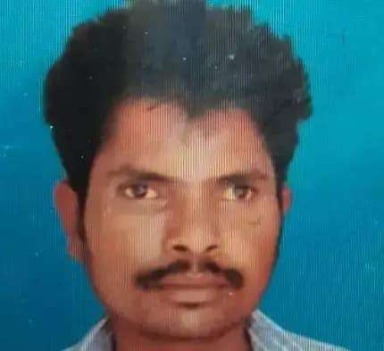 लखनऊ के गोसाईगंज इलाके में पेड़ काट रहे मजदूर पर गिरा पेड़,मौत